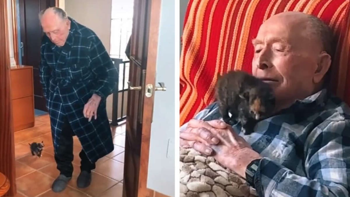 Vovô de 100 anos cria a mais doce amizade com uma gatinha