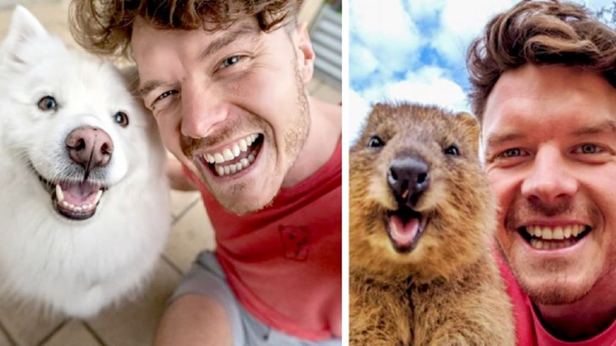 Fotógrafo faz amizade e tira selfies divertidas com os animais que encontra ao redor do mundo