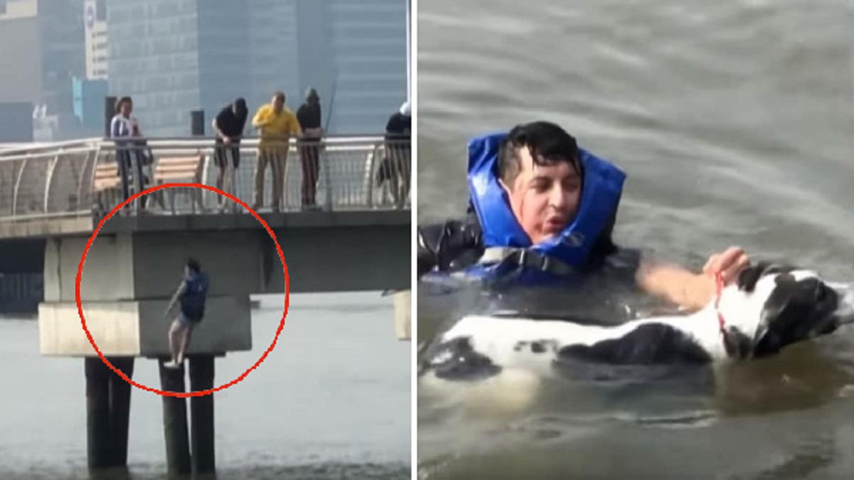 Homem deixa sua própria festa de aniversário e pula no rio para salvar cachorro