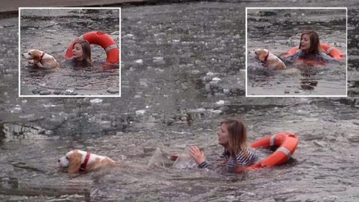 Mulher salva seu cachorro que caiu em lago gelado