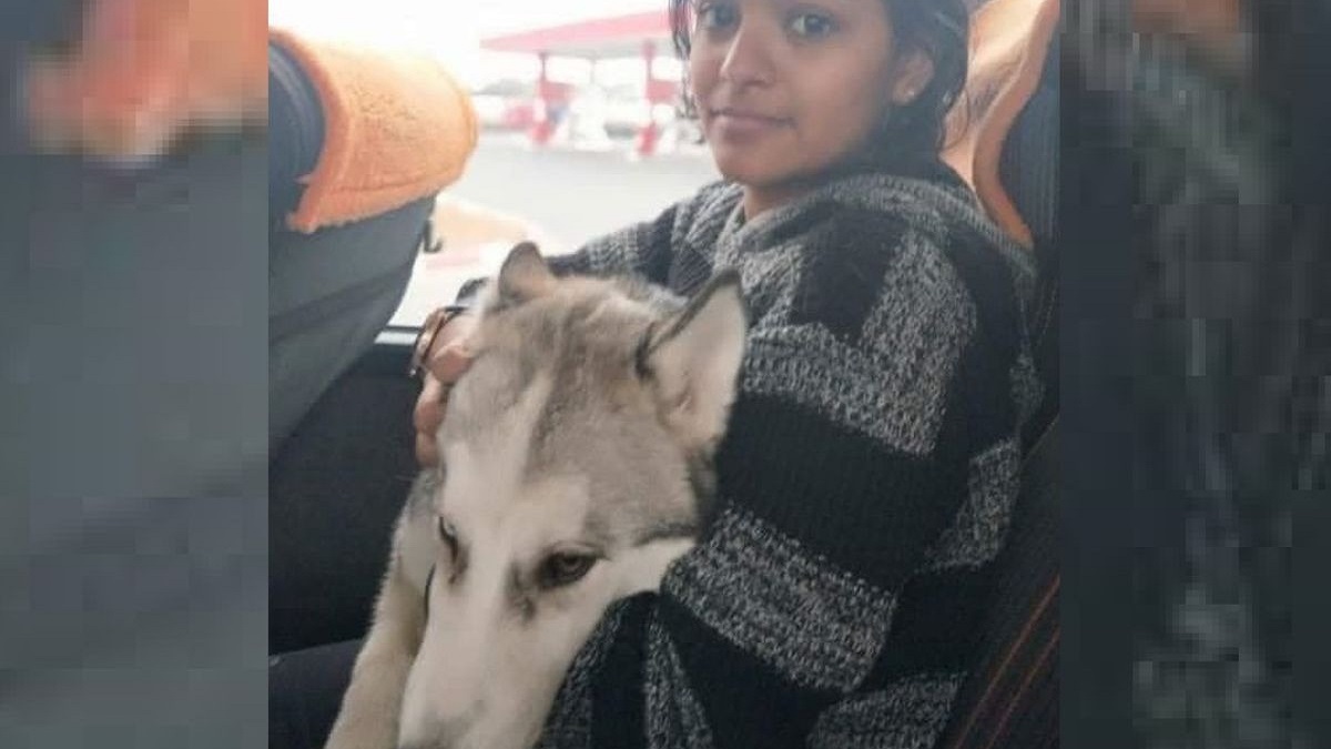 Foto comovente conta a história de uma jovem estudante indiana fugindo da Ucrânia com seu cão