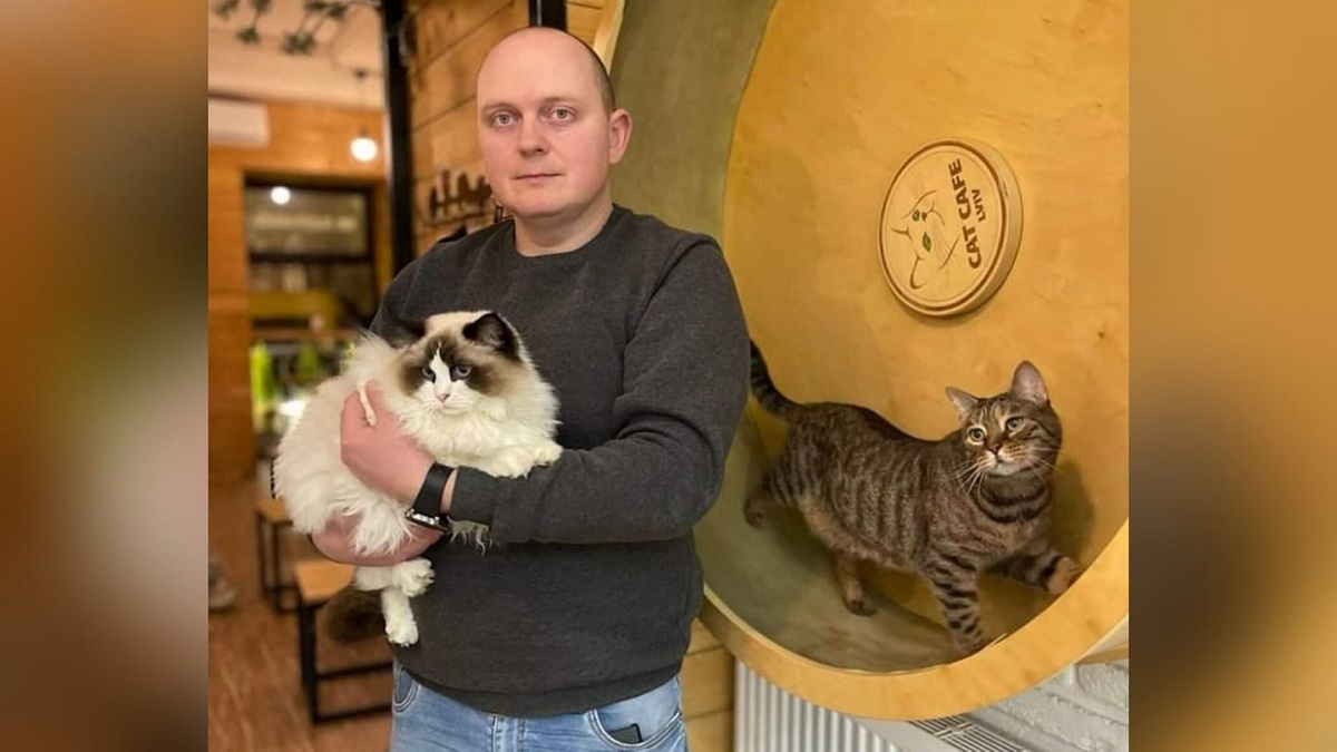 Ucraniano permanece com ‘Cat Cafe’ aberto para cuidar de seus 20 gatos, mesmo durante a guerra