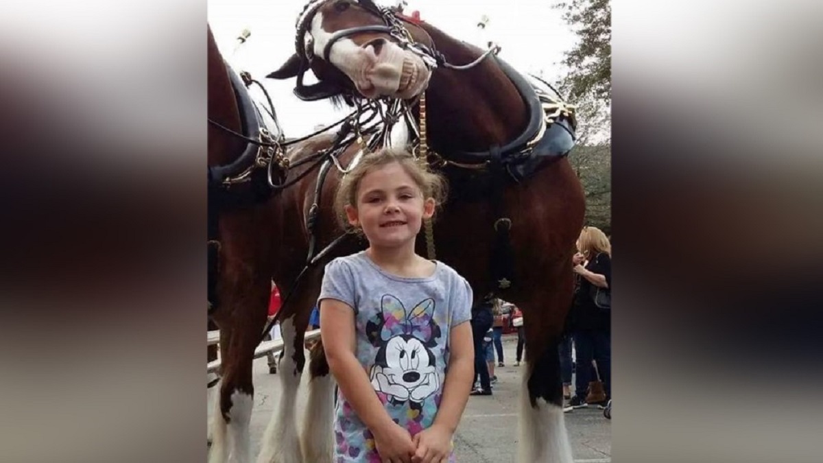 Foto de uma garotinha com um cavalo sorridente está dando volta ao mundo e encantando todos