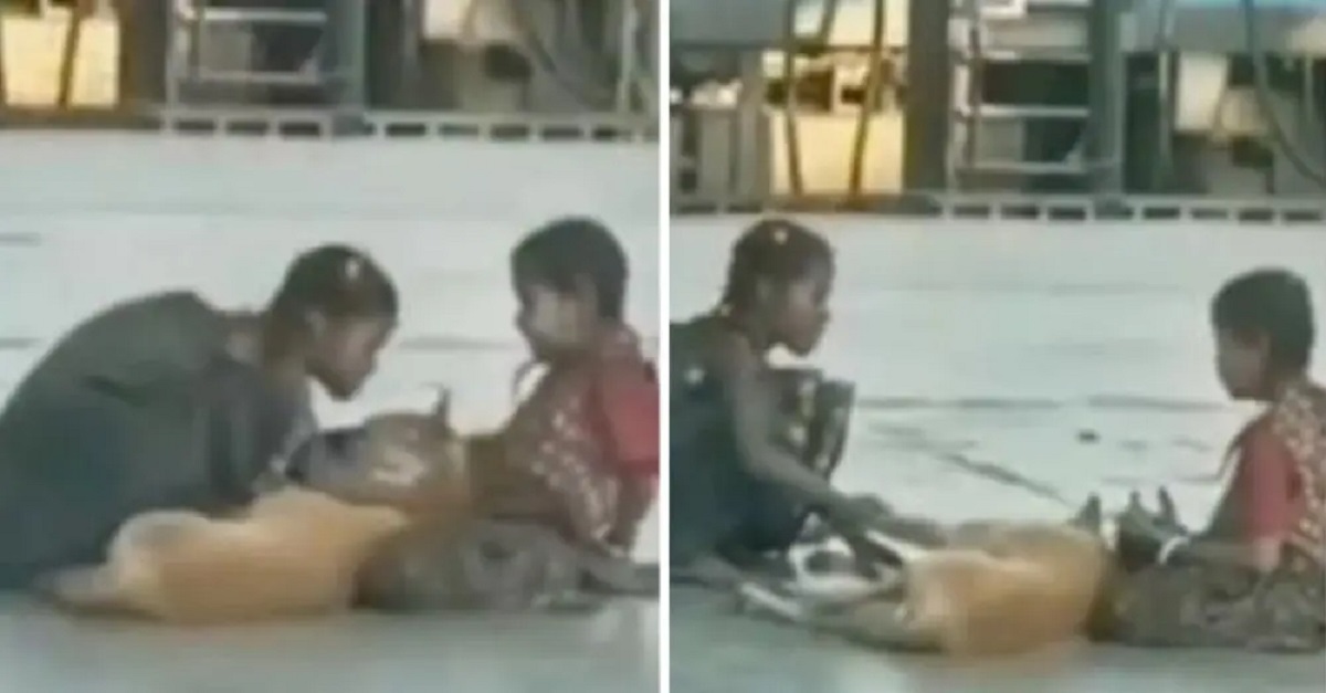 Duas crianças são filmadas oferecendo amor e carinho pra um cão de rua