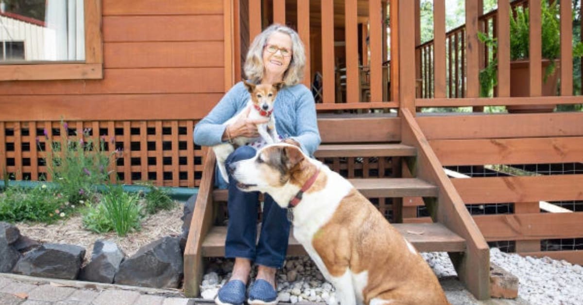 Mulher de bom coração oferece um lar a muitos cães após a morte de seus donos