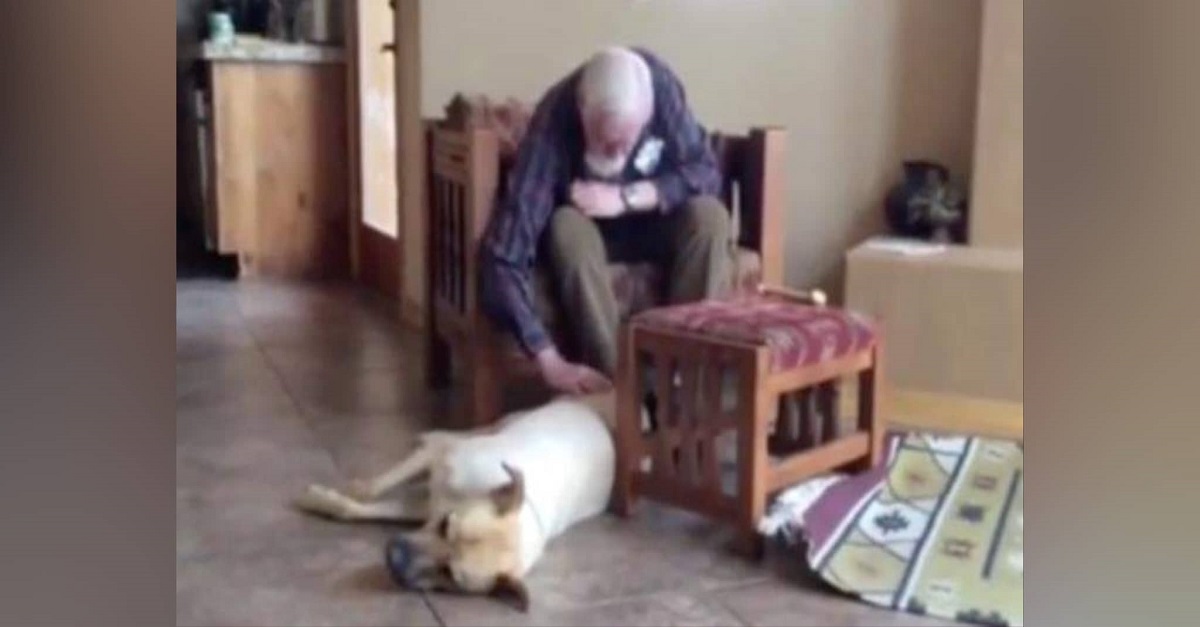 Homem com Alzheimer não falava até cachorro da família se aproximar