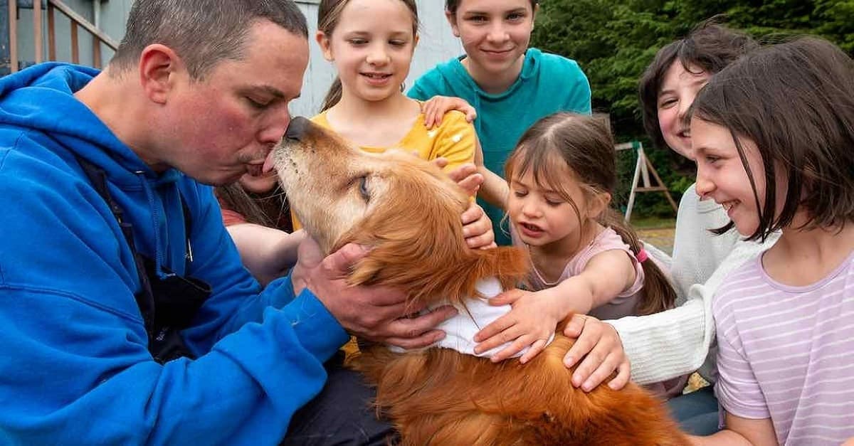 Cão cego reencontra a família depois de ficar desaparecido por semanas