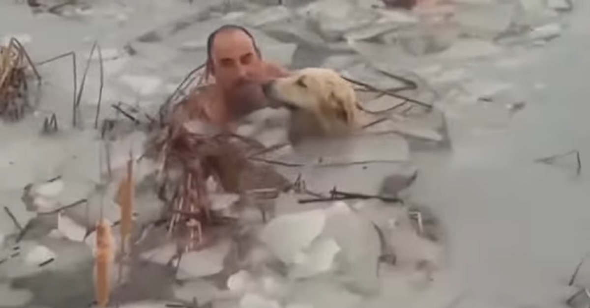 Homens corajosos nadam em águas geladas para resgatar cachorro