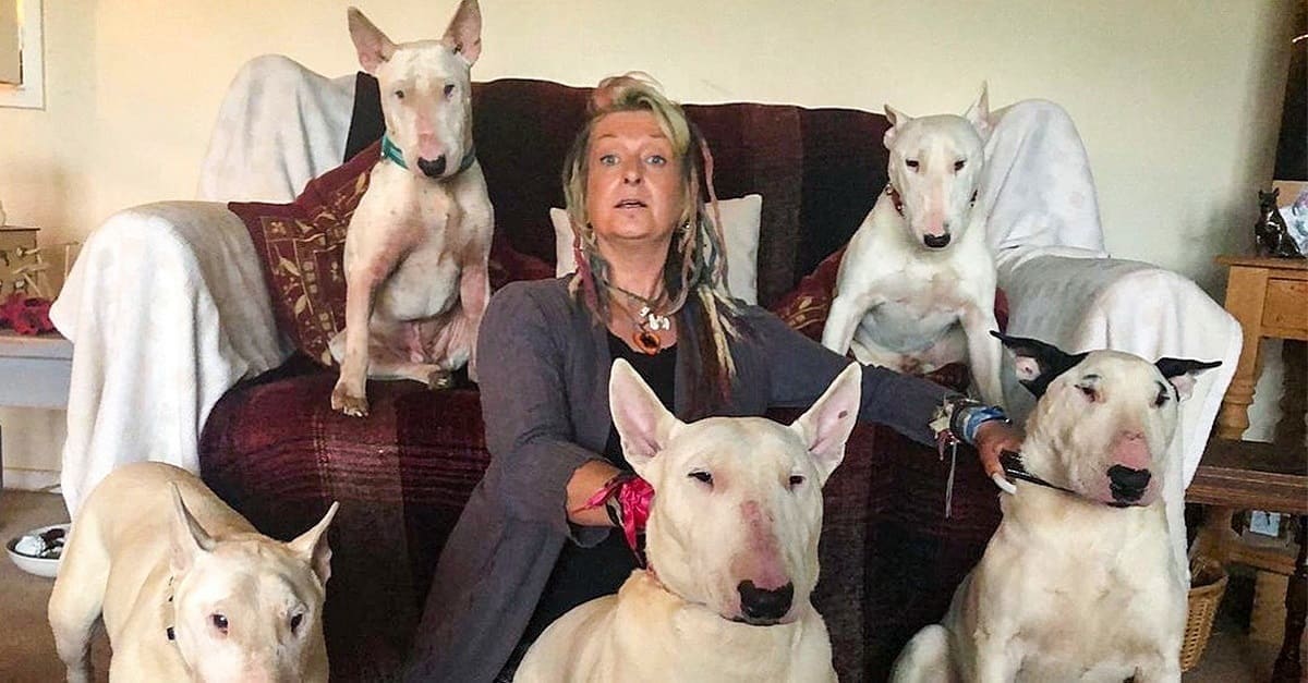 Marido fez a mulher escolher entre seus cães e ele – ela ficou com os pets